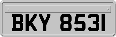 BKY8531