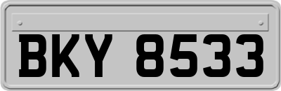 BKY8533