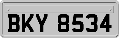 BKY8534