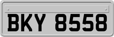 BKY8558