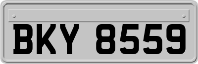 BKY8559