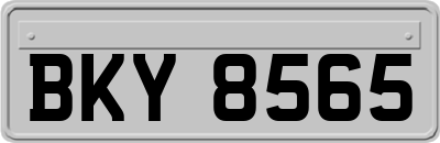 BKY8565