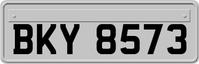 BKY8573
