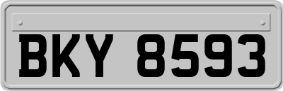 BKY8593