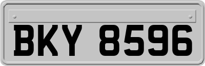 BKY8596