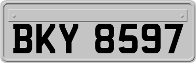 BKY8597