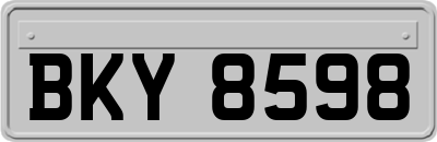 BKY8598