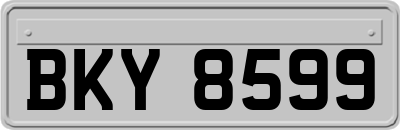BKY8599
