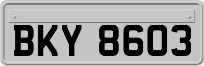 BKY8603