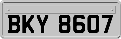 BKY8607