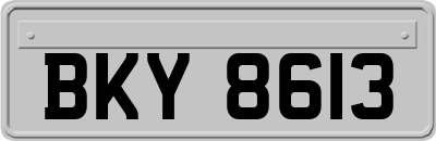 BKY8613