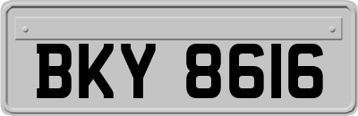 BKY8616