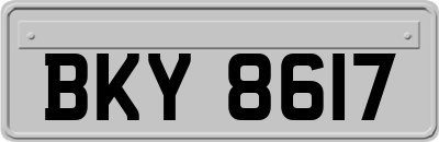 BKY8617