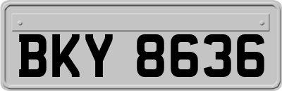 BKY8636