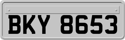 BKY8653