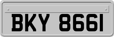 BKY8661