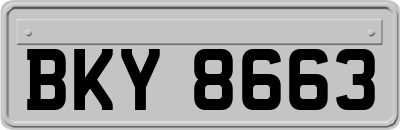 BKY8663