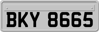 BKY8665