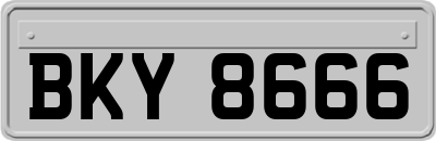BKY8666