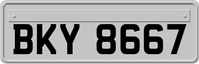 BKY8667