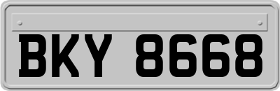 BKY8668