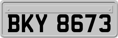 BKY8673