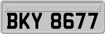 BKY8677