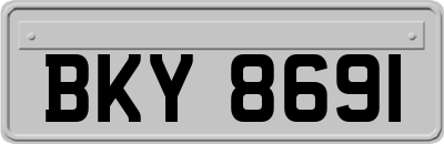 BKY8691