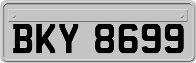 BKY8699
