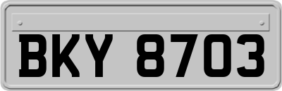 BKY8703