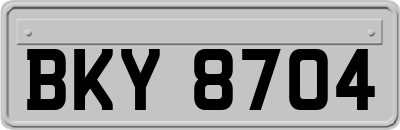 BKY8704