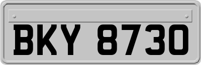 BKY8730