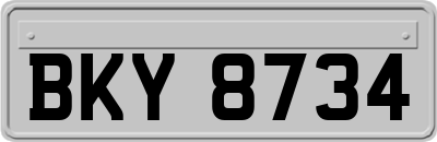 BKY8734