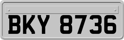 BKY8736