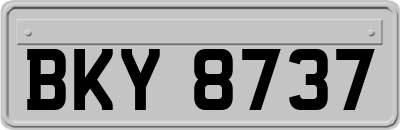 BKY8737