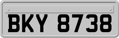 BKY8738