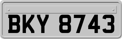 BKY8743