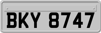 BKY8747