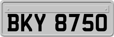 BKY8750