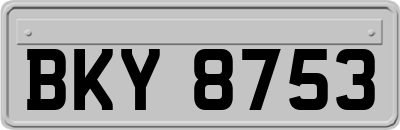 BKY8753