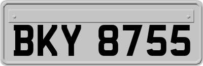 BKY8755
