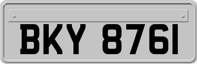 BKY8761