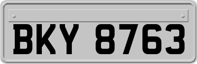 BKY8763