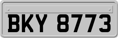 BKY8773