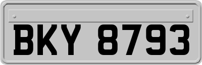 BKY8793
