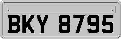 BKY8795