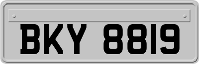 BKY8819