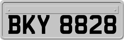 BKY8828