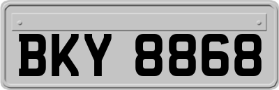 BKY8868