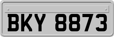 BKY8873